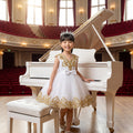 Lulu Gala | Crystal Symphony Tiered Gown