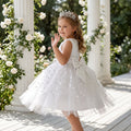 Lulu Gala | Signature Fairytale Tulle Gown